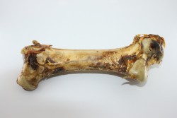 Straussenknochen gross ca.30cm 1 Stück